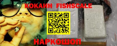 apvp Канаш