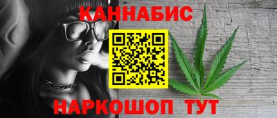 шишки Изобильный