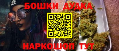 apvp Канаш