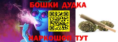 шишки Изобильный