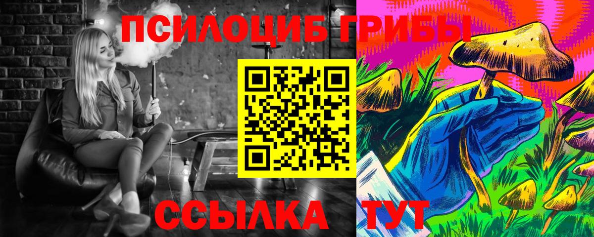 Кулебаки  Псилоцибиновые грибы Psilocybe  Вход с VPN  Псилоцибиновые грибы ЛСД 